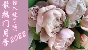 开花勤奋， 香气袭人