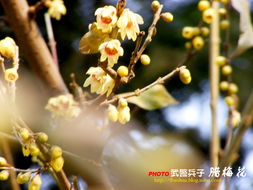 南北差异大不大