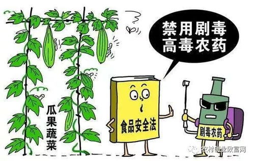 注意事项