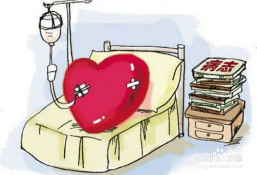 居家焦虑怎么办？试试这三种减压花草