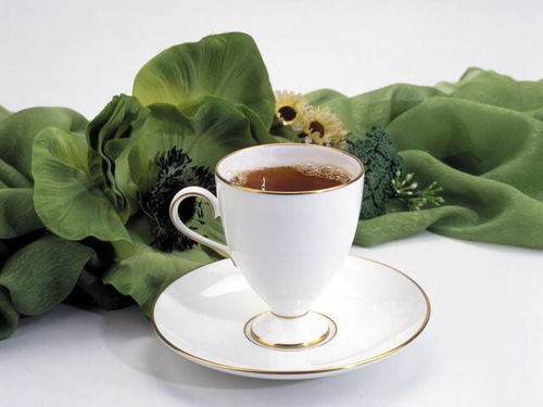 俄罗斯茶叶批发价格一览：一叶春秋茶多少钱一袋？