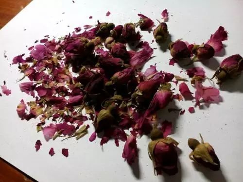 我的养护心得， 避免让玫瑰变“黄脸婆”