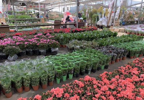 真实案例：网购与实体店价格差异大