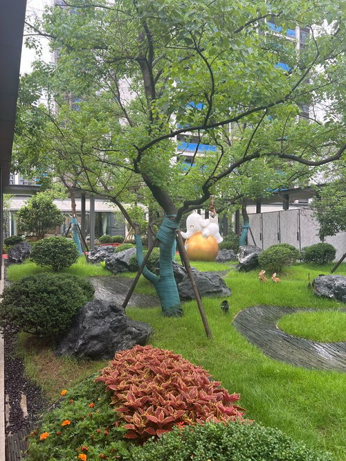 互动性与参与感