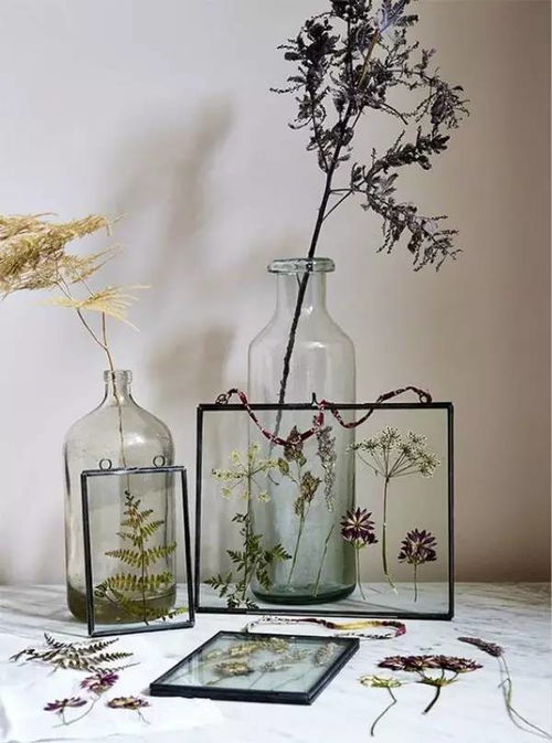 第五步：耐心等待