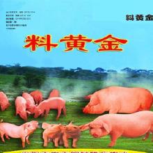 河南饲料的十大名牌中，全国最大的猪饲料生产厂家是哪家？