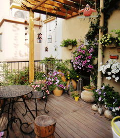 水分条件，植物怎么选？