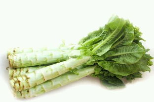 莴笋富含膳食纤维，家常菜里的健康秘密是什么