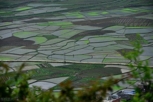 苗木种植用地的法规小秘密