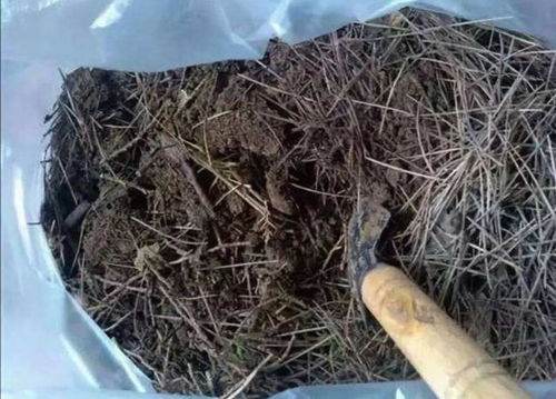 多菌灵，那是个啥？