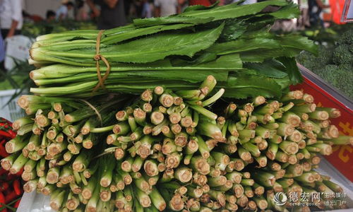 德宏茶油基地：揭秘优质茶树种植环境，助您成功种植！