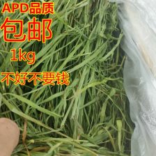 猪可以长期吃兔子饲料吗？猪饲料成分适合兔子长期食用吗？