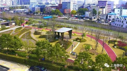 公园种植了品种月季5000余株