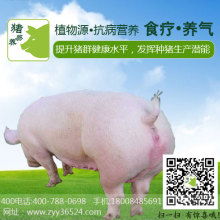 猪饲料预混料适合多大体重的猪食用？能否直接给猪喂食预混料？