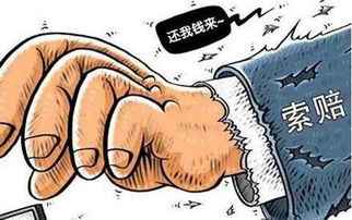 如何进行理赔？