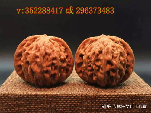 核桃枝：花卉养护小秘籍，功效惊人！