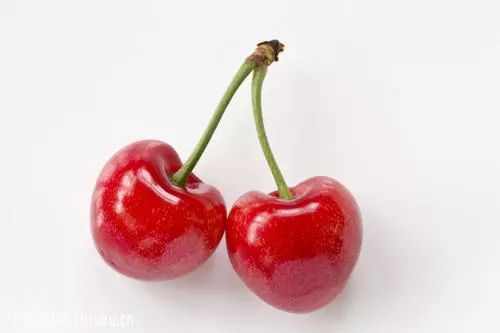 果核数量与果实品质的关系