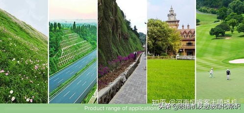 边坡绿化难点，边坡草本易退化