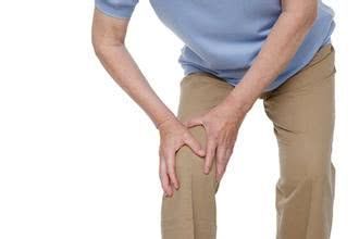 花卉的种类真多啊！