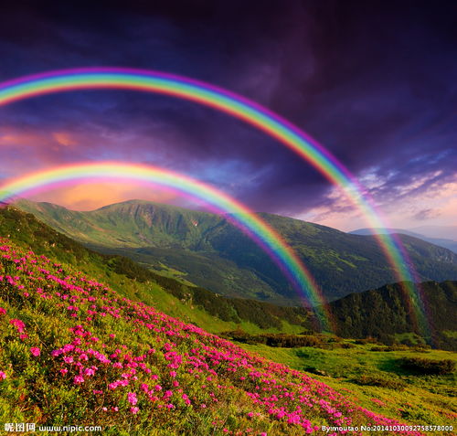 彩虹色的花：雨后彩虹的象征意义解读