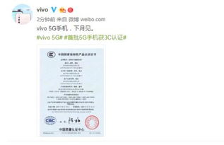 质量检验报告：保驾护航的盾牌