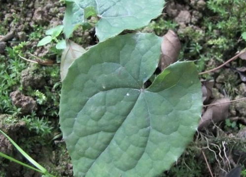 一个案例， 让人醒悟