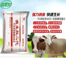 燕麦饲喂牛羊，营养均衡