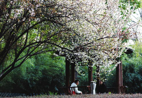 四、 夏日里的秘密花园，你值得拥有