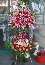 病症百科， 一网打尽花卉疾病