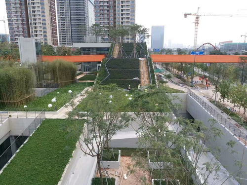 园林绿化建设， 离不开专业团队