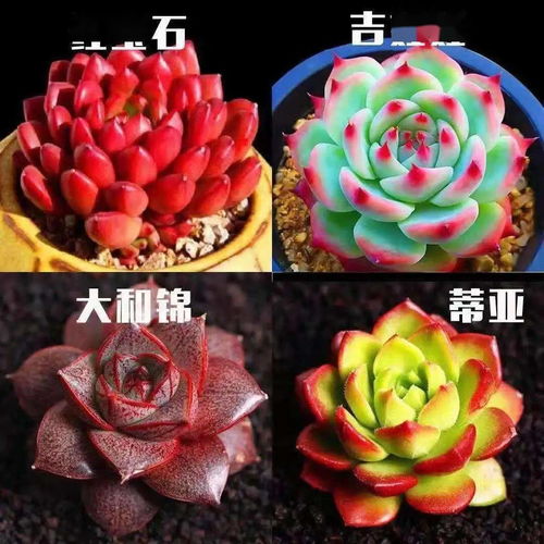 有效积温的神奇作用