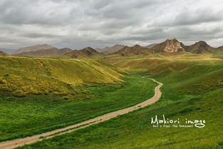 高原种植那些事儿