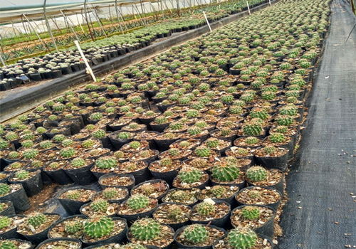 注意事项要牢记