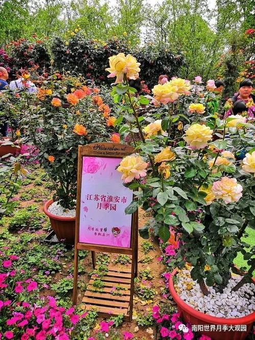 园中园， 各有特色