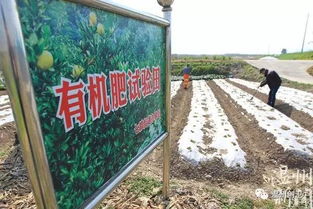 自制有机肥，如何用厨余变宝