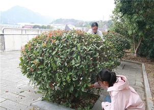 专业园林景观师：大绿地的守护者
