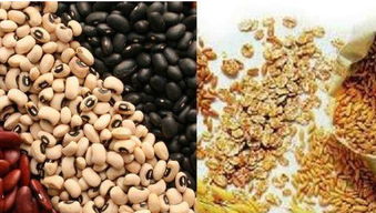 坚果：健康的脂肪伴侣