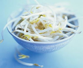 辨别毒豆芽需警惕，外观异常、生长过快、异味浓重、农药残留高