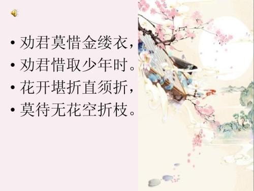 有花可折，何待无花空折枝