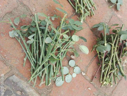 时间，就像魔法一样