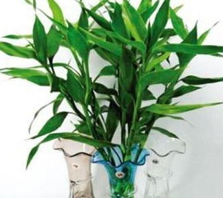 通风、 清洗，细节决定成败