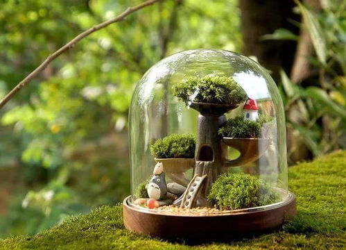 水培微景观：绿色生活的新风尚