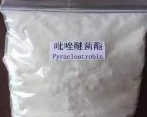 菌酯家族的成员