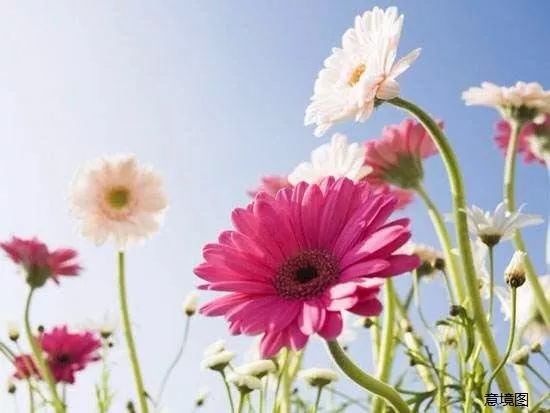 新手种植，有哪些技术难点和避坑技巧？