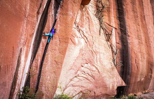 暴雨后排水策略