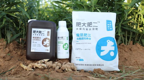 高氯甲维盐：你了解它的威力吗那个？