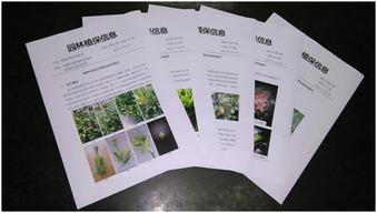 话园艺，讲科学，规划设计要周全