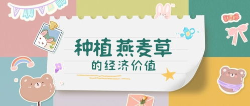 燕麦草：畜牧良伴