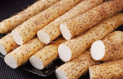 根茎断裂的原因探秘