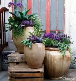 浅椭圆形花盆的多功Neng